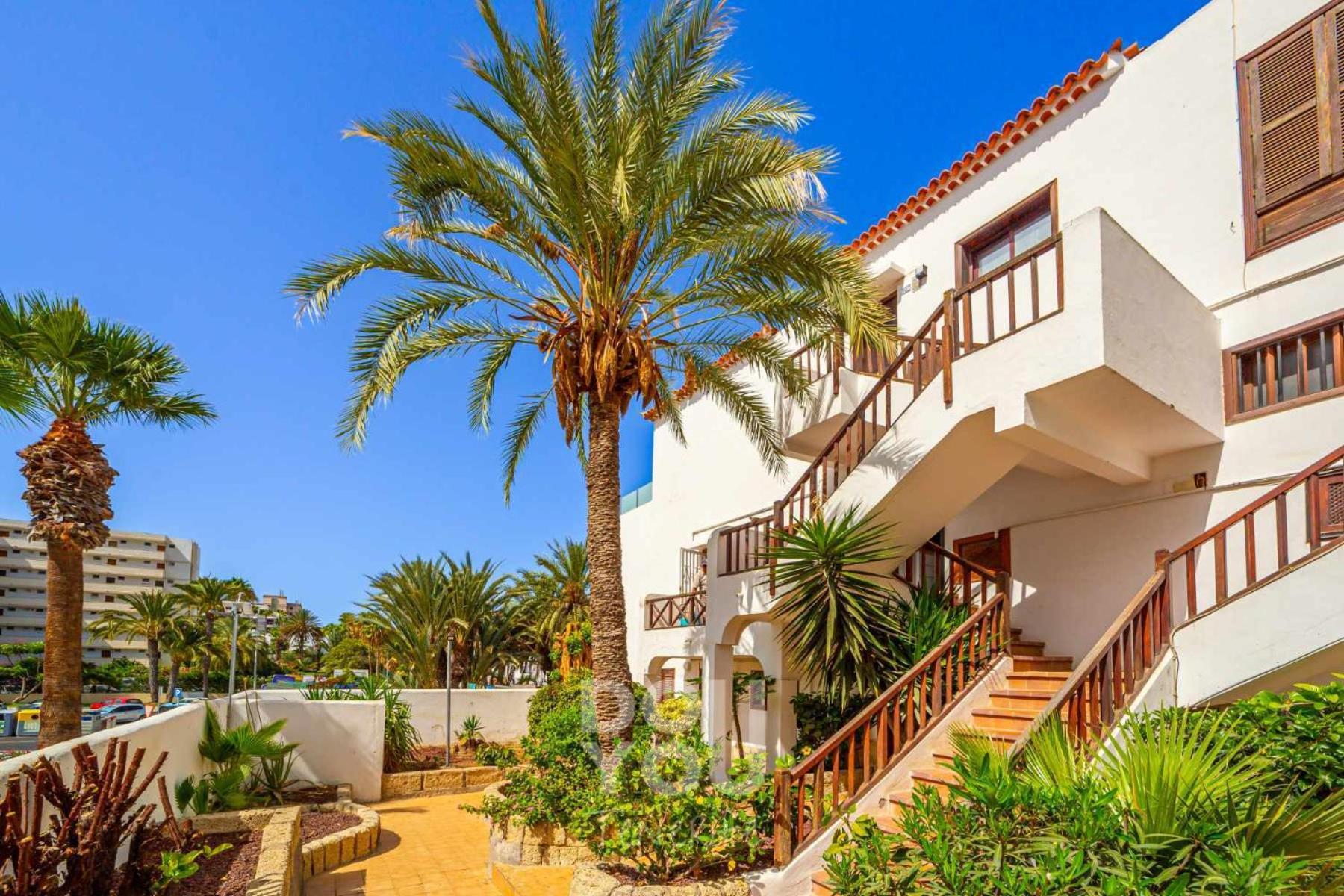 Apartment Paraiso Royal アロナ エクステリア 写真